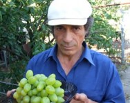 golub