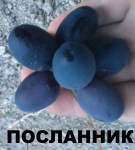Посланник